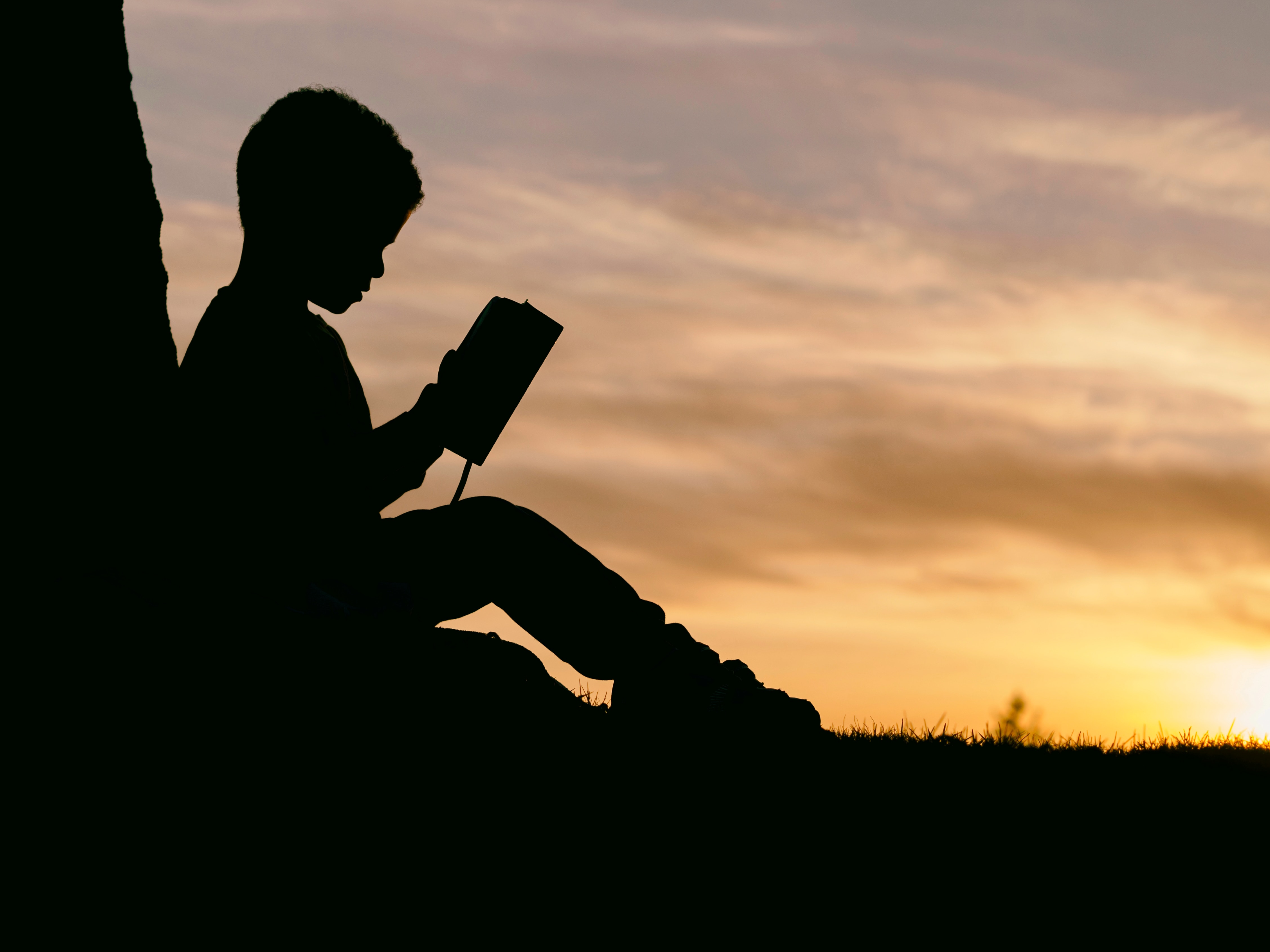 nino-leyendo-arbol-contraste